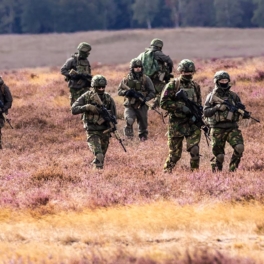 Запад переходит к обсуждению деталей отправки военных на Украину, заявил Стармер