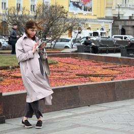 Сильный ветер обрушится на Москву — объявлен "желтый" уровень погодной опасности