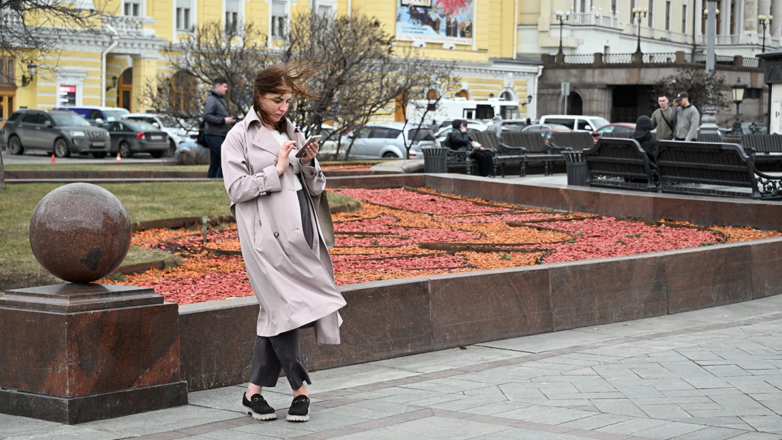 В Москве и Подмосковье объявили желтый уровень погодной опасности из-за ветра