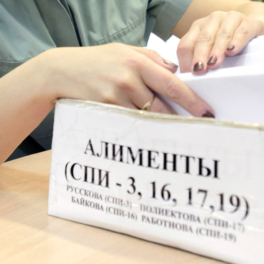 Злостным неплательщикам алиментов могут запретить доступ к "Госуслугам" и банковским операциям