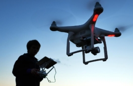 Дроны за смену сканируют тысячи гектаров леса, заменяя физический труд десятков специалистов