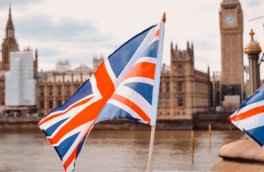 Британская партия Reform UK создаст собственный аналог американского DOGE