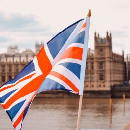 Британская партия Reform UK создаст собственный аналог американского DOGE