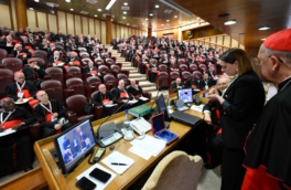 Кардиналы провели последнее перед конклавом совещание
