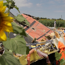 Возмещения ущерба по делу о гибели рейса MH17 потребуют от РФ Нидерланды и Австралия