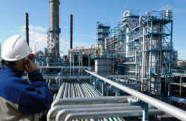 Новый способ получения цеолитов для нефтепереработки нашли ученые в РФ