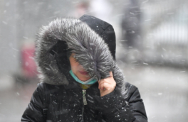 Жителей Москвы предупредили о порывистом ветре до 17 м/с и дожде 18 ноября