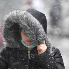 Жителей Москвы предупредили о порывистом ветре до 17 м/с и дожде 18 ноября