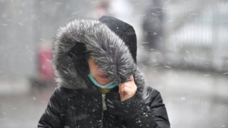 Жителей Москвы предупредили о порывистом ветре до 17 м/с и дожде 18 ноября