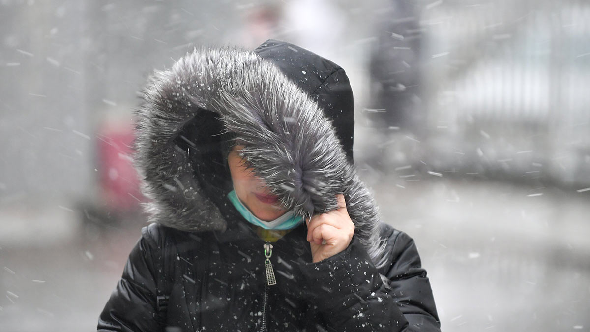 МЧС предупредило москвичей о порывистом ветре до 17 м/с и дожде 18 ноября