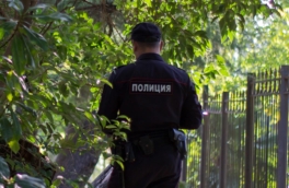 За некоторые растения на даче могут привлечь к уголовной ответственности: что запрещено выращивать