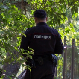 За некоторые растения на даче могут привлечь к уголовной ответственности: что запрещено выращивать