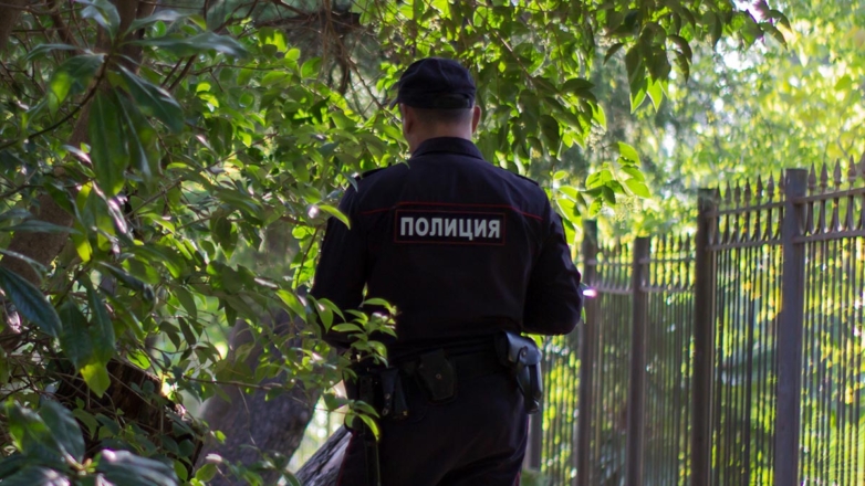 Уголовное наказание за грибы и растения на дачах