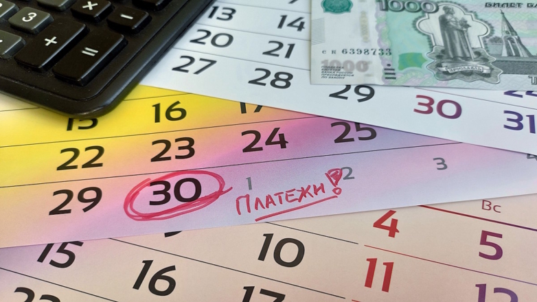 Максимальную сумму рассрочки в РФ могут сократить до 50 тыс. рублей