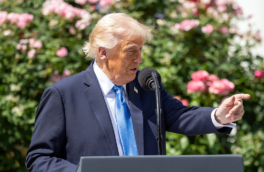 Трамп попросил Путина предложить Украине то, с чем можно согласиться