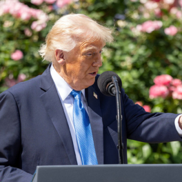 Трамп попросил Путина предложить Украине то, с чем можно согласиться