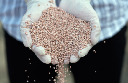 О последствиях пошлин ЕС на удобрения из России рассказали во Франции