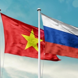 Раскрыты детали декларации России и Вьетнама о направлениях всеобъемлющего стратегического партнерства на новом этапе