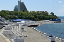 На пляжах Анапы провели анализ черных водорослей