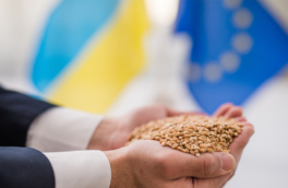 Ввести высокие пошлины на украинские товары собирается Евросоюз