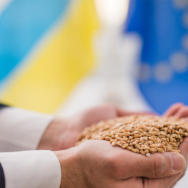 Ввести высокие пошлины на украинские товары собирается Евросоюз