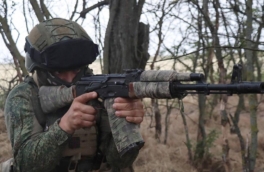ВС РФ взяли под контроль село Петровское в Харьковской области и поселок Перебудова в ДНР