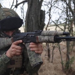ВС РФ взяли под контроль село Петровское в Харьковской области и поселок Перебудова в ДНР