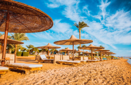 Стало известно, на сколько подорожают визы в Египет с 1 марта