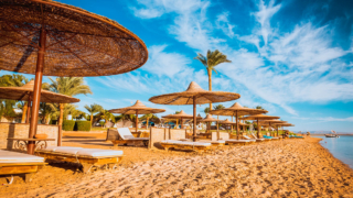 Стало известно, на сколько подорожают визы в Египет с 1 марта