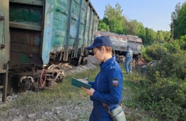 Подрывы мостов в Брянской и Курской областях назвали терактом