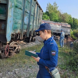 Подрывы мостов в Брянской и Курской областях назвали терактом