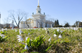 Теплый конец февраля, ранняя весна и жаркое лето: предварительный прогноз погоды для Москвы озвучил синоптик