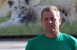Операцию на трахее перенес владелец парка "Тайган" после нападения льва в сафари-парке