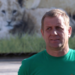 Операцию на трахее перенес Владелец парка "Тайган" после нападения льва в сафари-парке