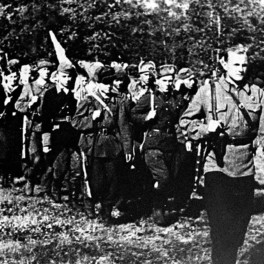 Какой сегодня день: 29 июня – День партизан и подпольщиков в России