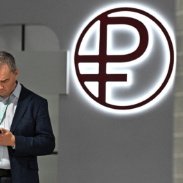 Третий пока лишний: почему Центробанк отложил введение в оборот цифрового рубля