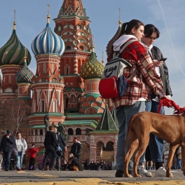 Усы, лапы, хвост: закон об ответственном обращении с животными нуждается в серьезной доработке