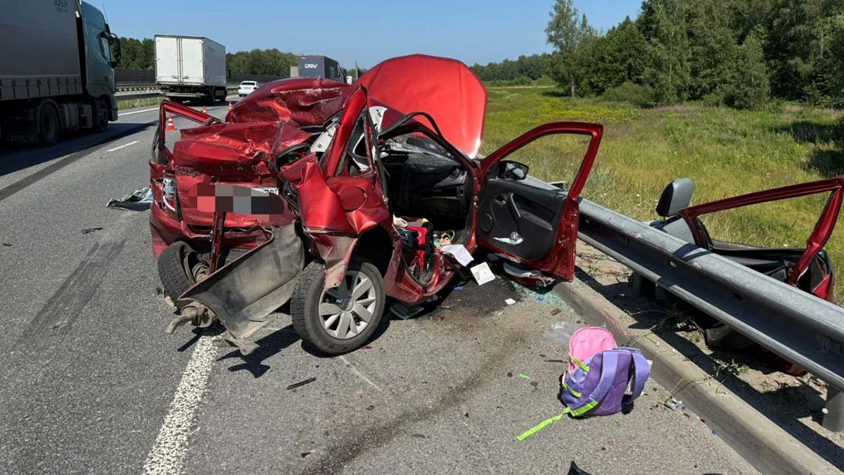 В Подмосковье фура раздавила автомобиль