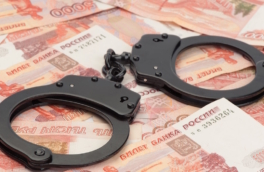 Замглавы Химок помещена под домашний арест