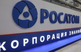 Россия и Нигер договорились сотрудничать в сфере атомной энергетики