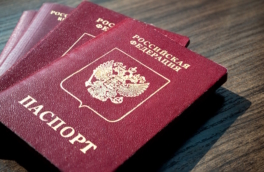 Комитет Госдумы одобрил новые основания для лишения приобретенного гражданства РФ