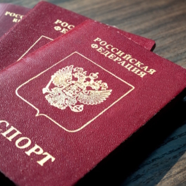 Комитет Госдумы одобрил новые основания для лишения приобретенного гражданства РФ