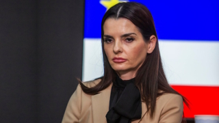 Адвокаты Гуцул обратятся в международные инстанции