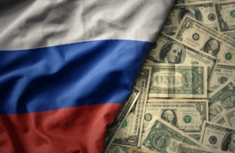 Внешний долг РФ увеличился за полгода на $32 млрд