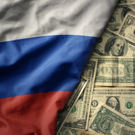 Внешний долг РФ увеличился за полгода на $32 млрд
