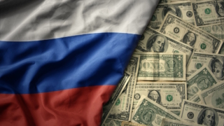 Внешний долг РФ увеличился за полгода на $32 млрд