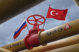 Экспорт газа из РФ в Европу по "Турецкому потоку" в июле обновил исторический максимум