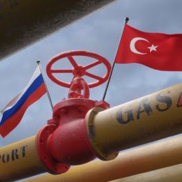 Экспорт газа из РФ в Европу по "Турецкому потоку" в июле обновил исторический максимум