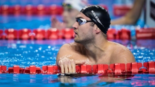 Пловец Колесников выиграл золото ЧМ по плаванию на 50-метровке на спине