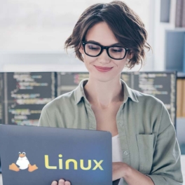 Какой сегодня праздник: 25 августа – День рождения Linux
